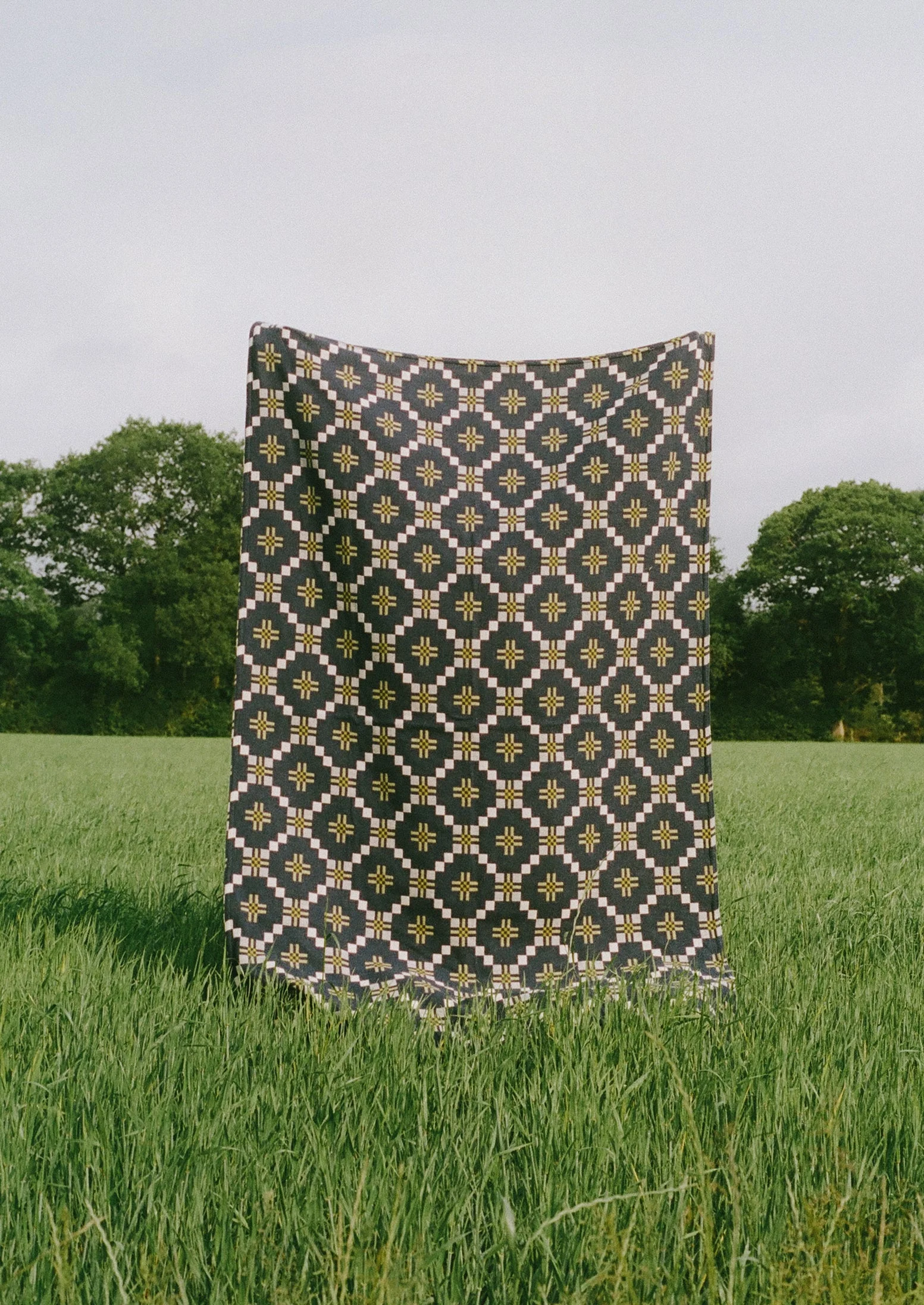 Melin Tregwynt Welsh Blanket | Midnight/Citrus - Image 3