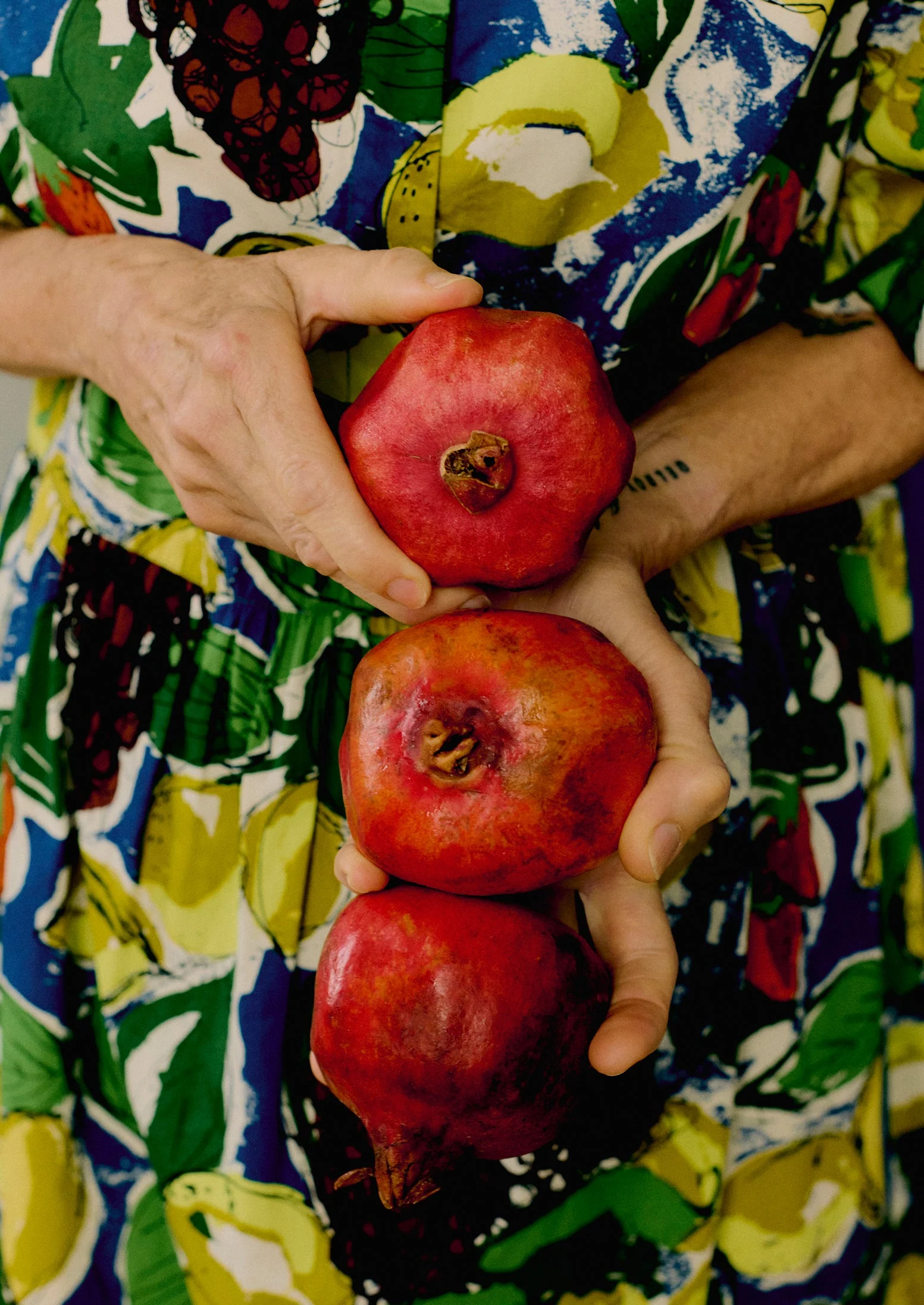 Selma Sketched Fruit Print Shirt Dress | Verdigris/Multi - Image 4